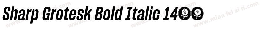 Sharp Grotesk Bold Italic 14字体转换